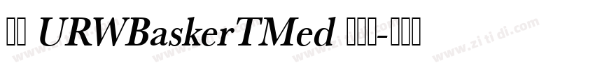 汉仪 URWBaskerTMed 英文体字体转换